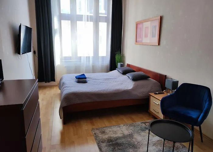 Large And Cozy Apartment In The Center Of Karlovy Vary